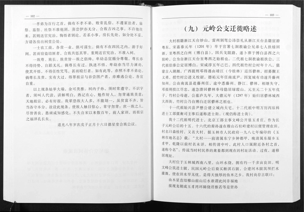 图片[2]-广西玉林陈氏家谱元岭公支电子版PDF下载-中华家谱网
