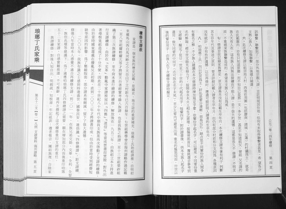 图片[2]-山东诸城琅琊丁氏家乘第五十二支电子版PDF下载-中华家谱网