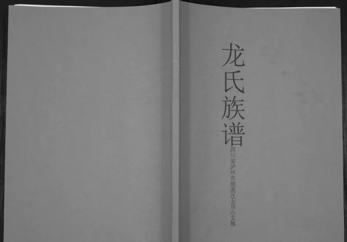 四川泸州纳溪区五顶山支脉龙氏族谱电子版PDF下载-中华家谱网