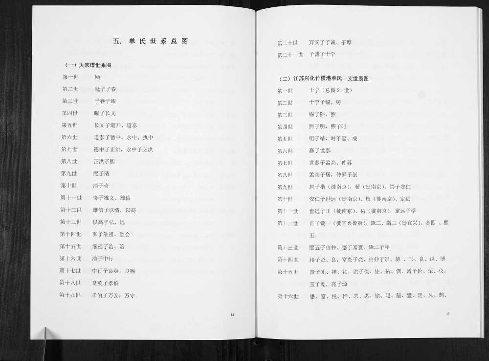 图片[5]-江苏常州金坛区单氏家谱电子版PDF下载-中华家谱网