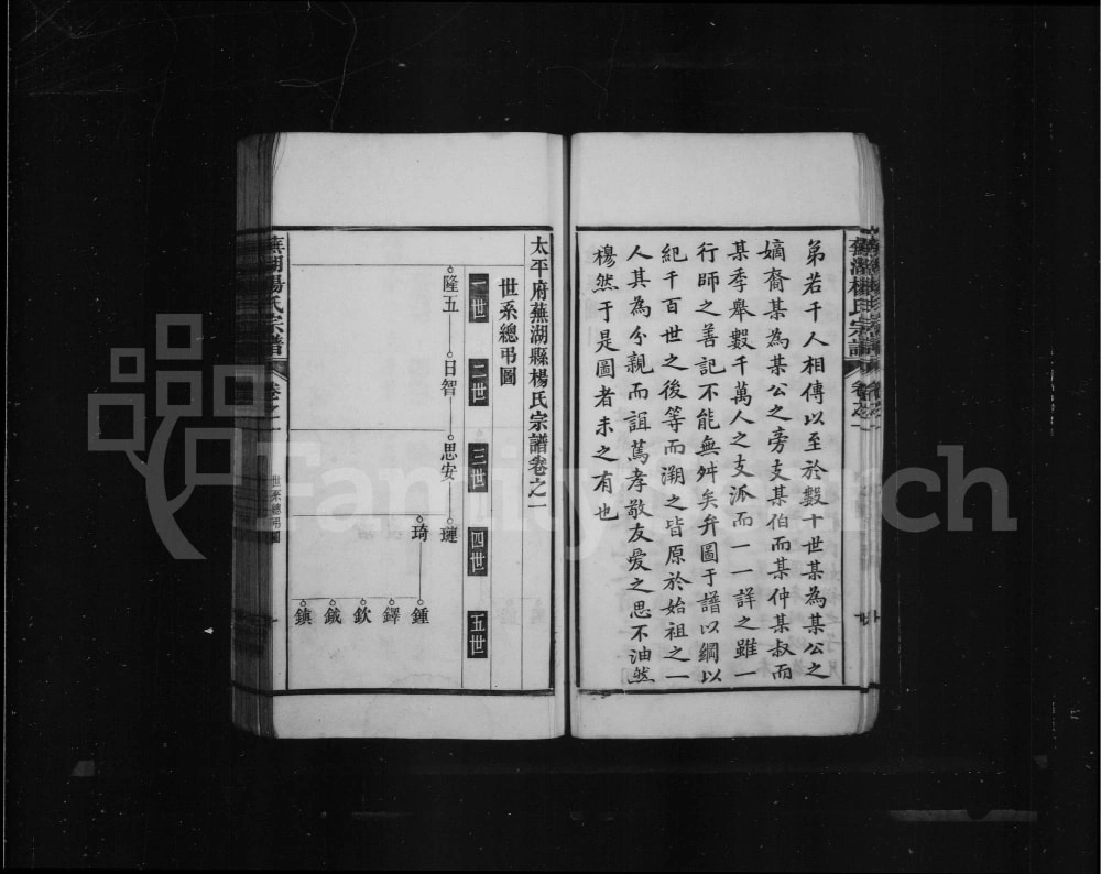 图片[5]-安徽芜湖杨氏宗谱电子版PDF下载-中华家谱网