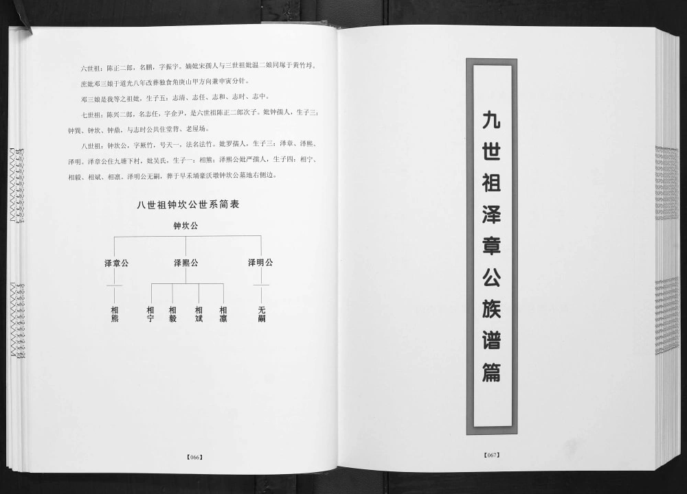 图片[6]-广西北海合浦县豪沃村回眸九塘下村今昔陈氏族谱电子版PDF下载-中华家谱网
