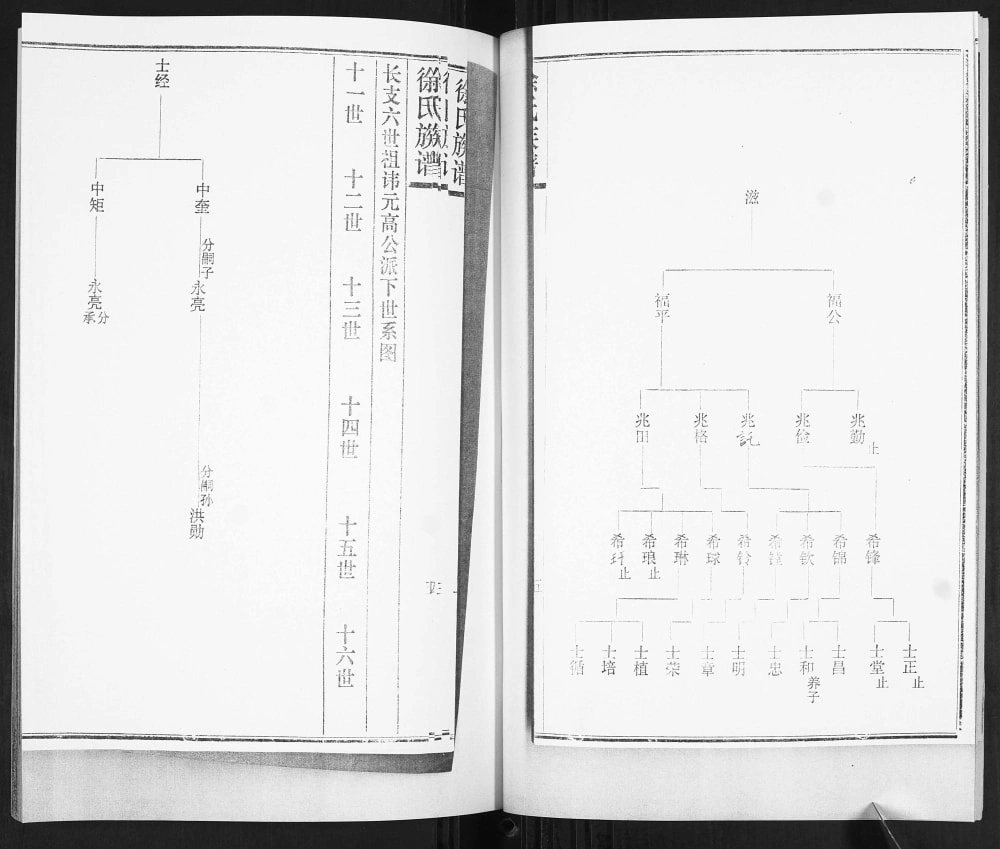 图片[6]-山东青岛城阳区徐氏族谱电子版PDF下载-中华家谱网