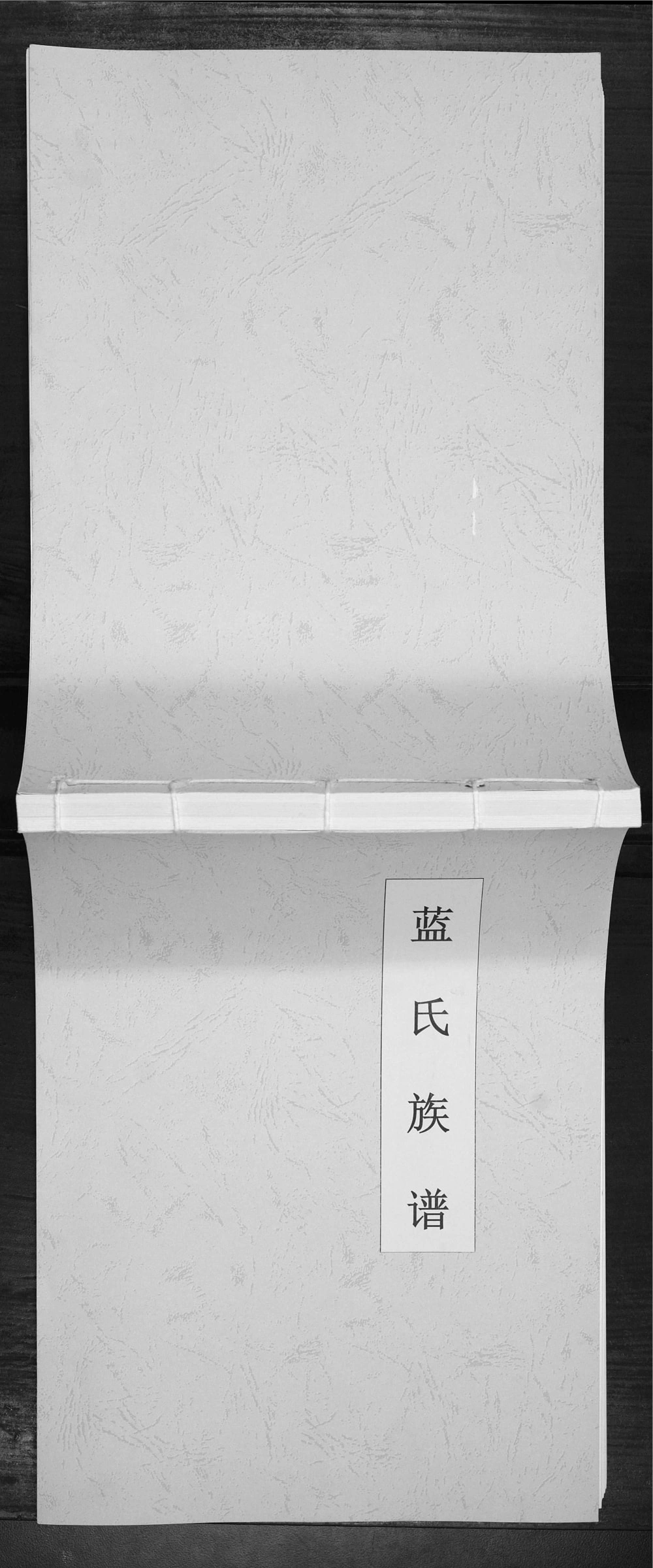 图片[1]-江苏南京蓝氏族谱电子版PDF下载-中华家谱网