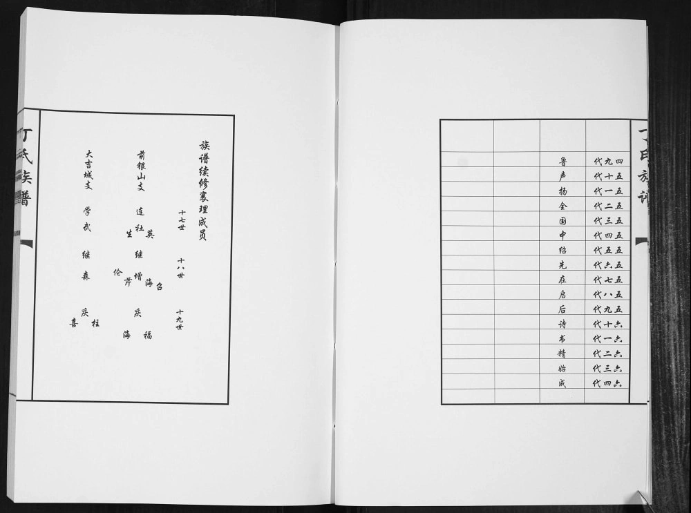 图片[5]-山东聊城丁氏族谱电子版PDF下载-中华家谱网