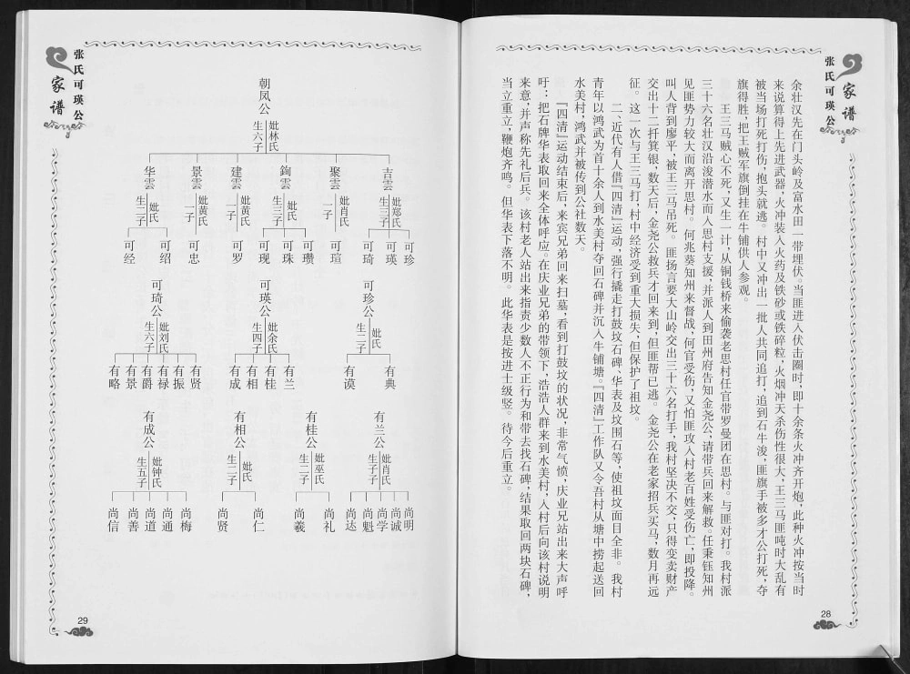 图片[8]-广西南宁宾阳县张氏可瑛公家谱电子版PDF下载-中华家谱网