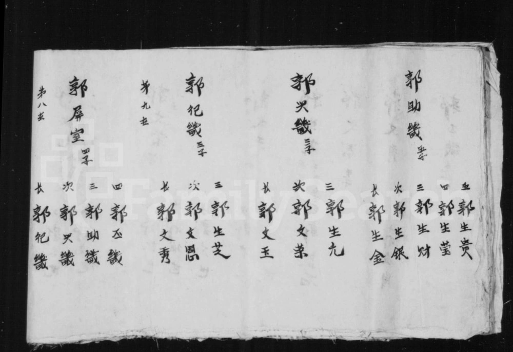 图片[7]-山西长治沁县郭氏家谱电子版PDF下载-中华家谱网