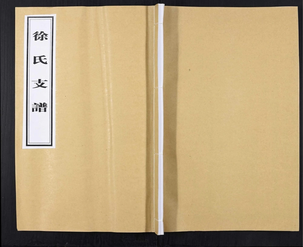 图片[1]-山东临沂徐氏族谱电子版PDF下载-中华家谱网