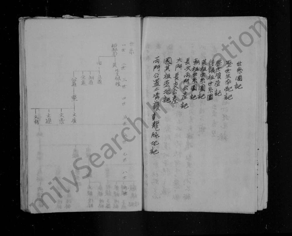 图片[5]-山西晋城阳城县润城张氏家谱电子版PDF下载-中华家谱网