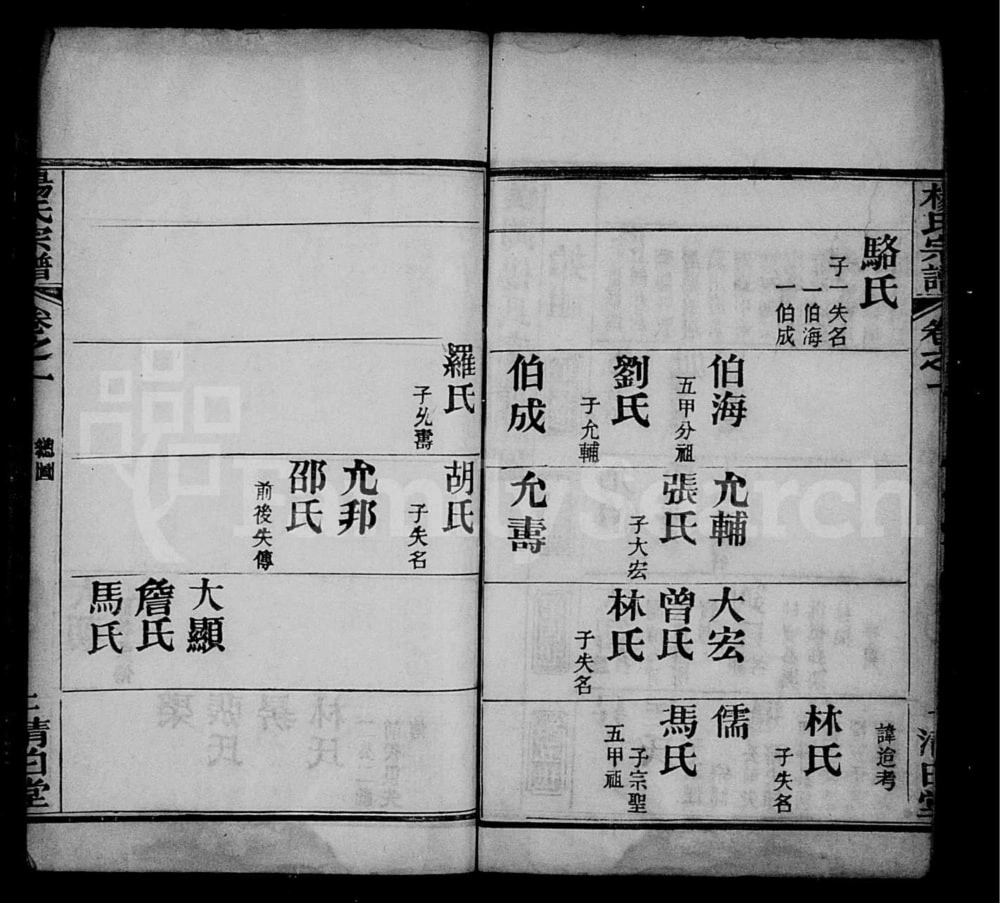 图片[6]-湖北黄冈杨氏宗谱（清白堂）电子版PDF下载-中华家谱网