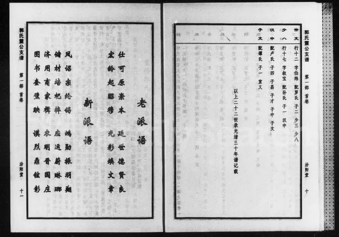 湖南益阳桃江县郭氏震公支谱(汾阳堂)电子版PDF下载-中华家谱网