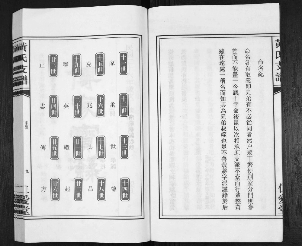 图片[4]-安徽合肥肥东县黄氏支谱（仁爱堂）电子版PDF下载-中华家谱网