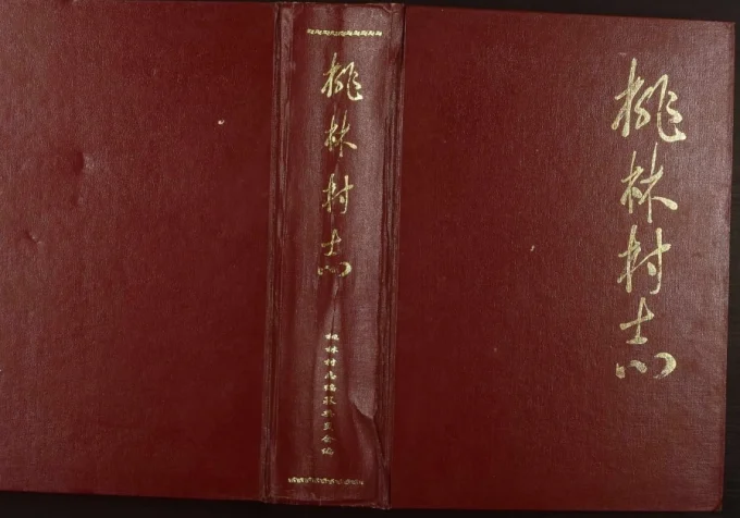 山东海阳桃林村志电子版PDF下载-中华家谱网