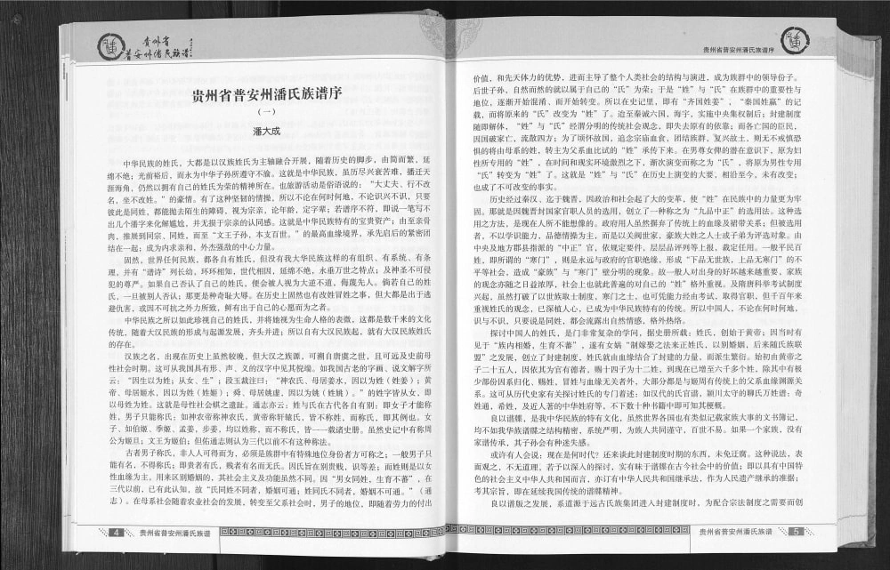 图片[4]-贵州省盘州市普安州潘氏族谱电子版PDF下载-中华家谱网