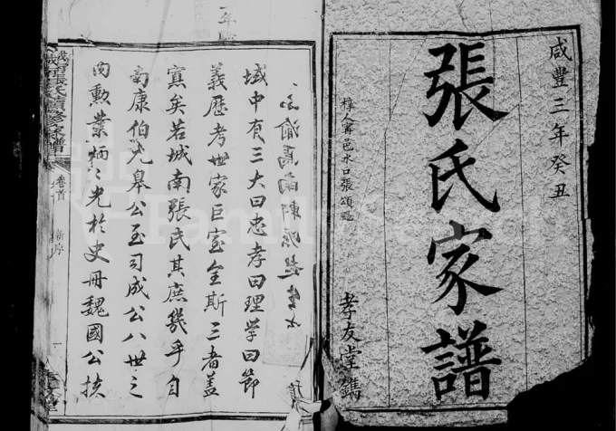 湖南长沙城南张氏续修家谱(孝友堂)电子版PDF下载-中华家谱网