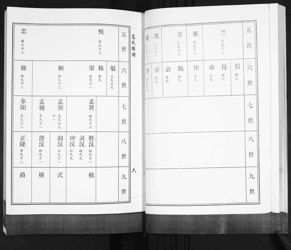图片[7]-山东青岛即墨区高氏族谱碓臼泊支电子版PDF下载-中华家谱网