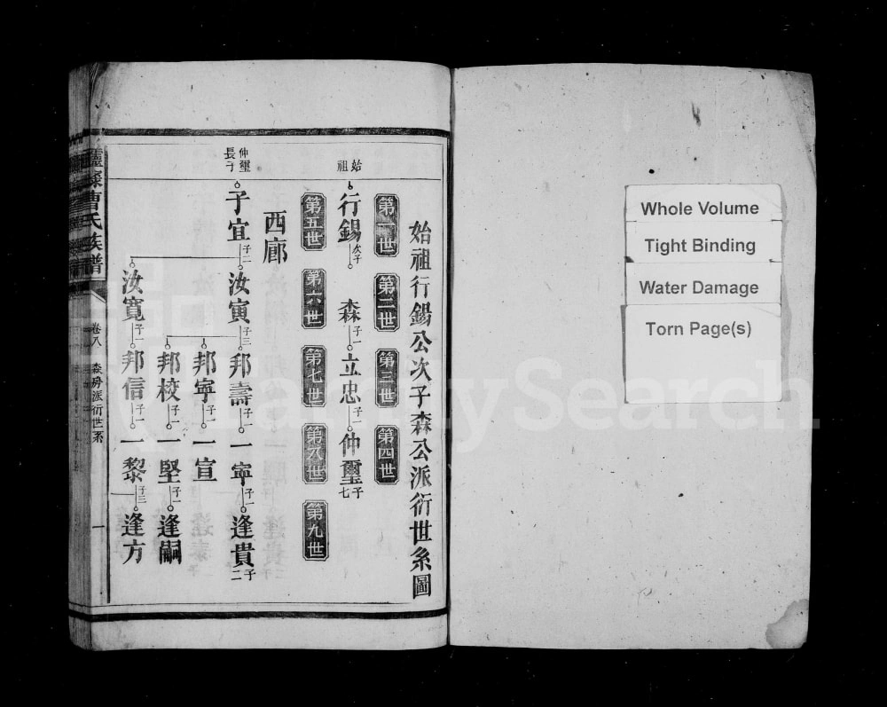 图片[6]-湖南资兴醽醁曹氏族谱电子版PDF下载-中华家谱网