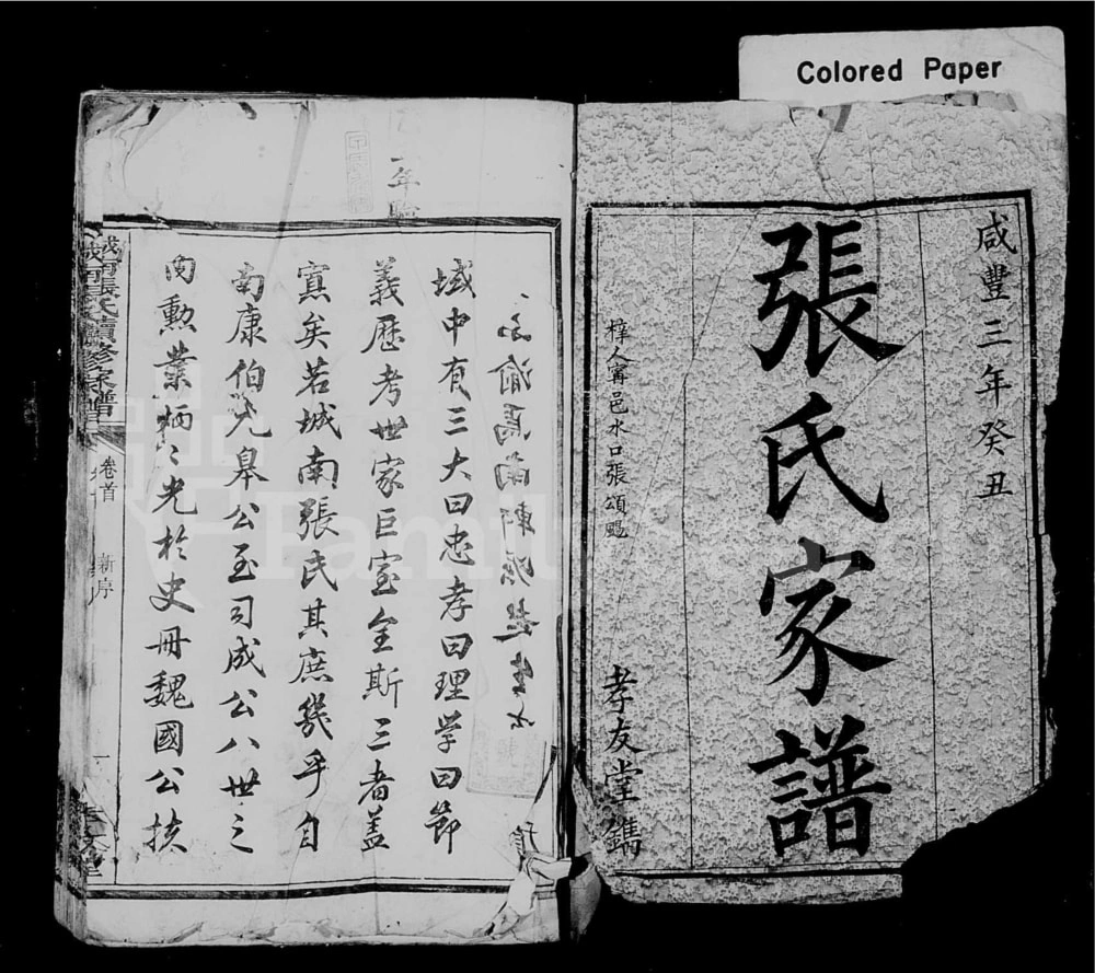 图片[1]-湖南长沙城南张氏续修家谱（孝友堂）电子版PDF下载-中华家谱网