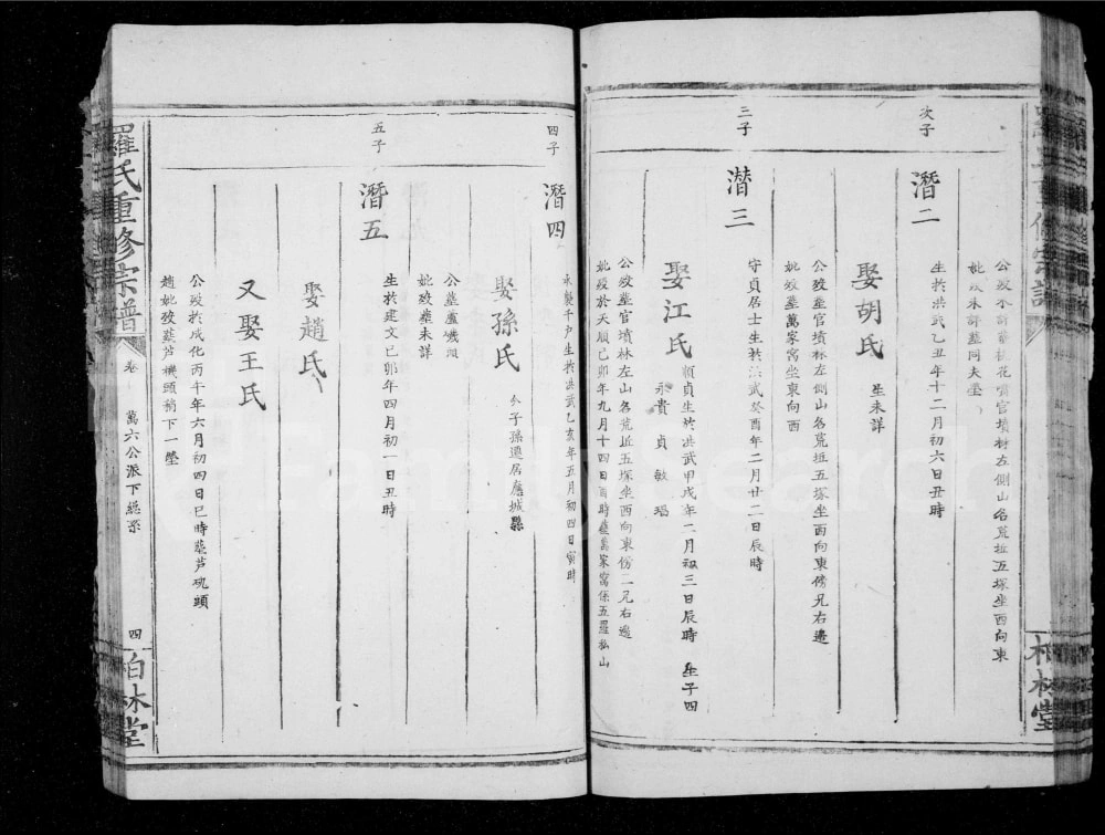 图片[8]-湖北大冶罗氏重修族谱（柏林堂）电子版PDF下载-中华家谱网