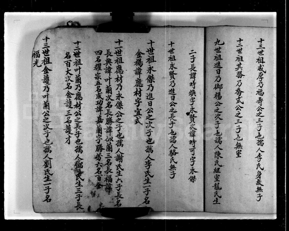 图片[8]-香港新界屏山石埔村林氏族谱电子版PDF下载-中华家谱网