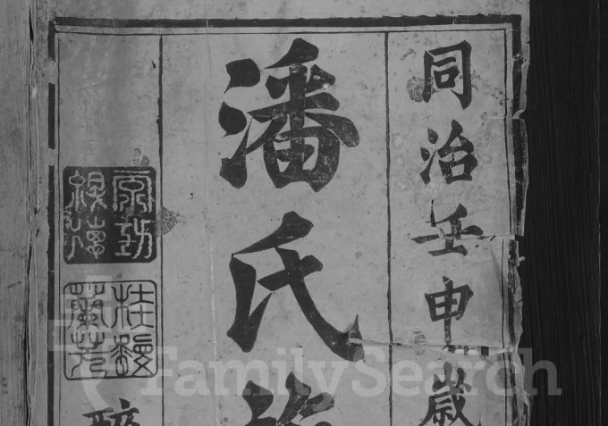 湖南常德汉寿县潘氏族谱(紫岩堂)电子版PDF下载-中华家谱网