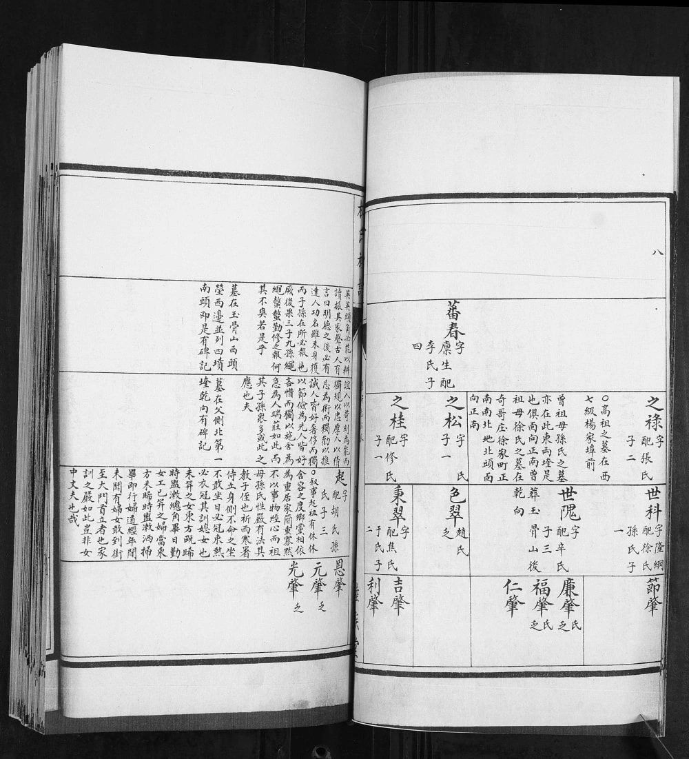 图片[7]-山东青岛林氏族谱（睦族堂）电子版PDF下载-中华家谱网