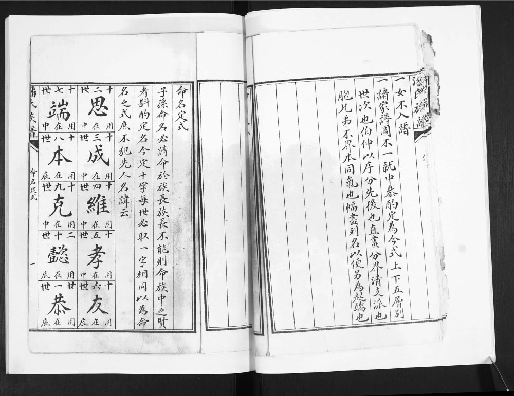图片[3]-山东青岛即墨墨邑潘氏族谱电子版PDF下载-中华家谱网