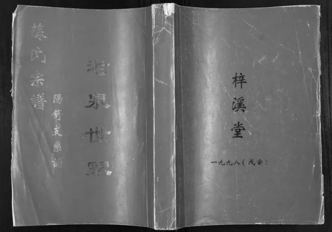湖北孝感孝昌县苏氏宗谱阳舒支系谱（武功堂、梓溪堂）电子版PDF下载-中华家谱网