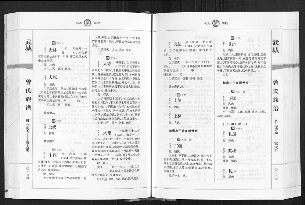 图片[6]-重庆大足区武城曾氏族谱电子版PDF下载-中华家谱网