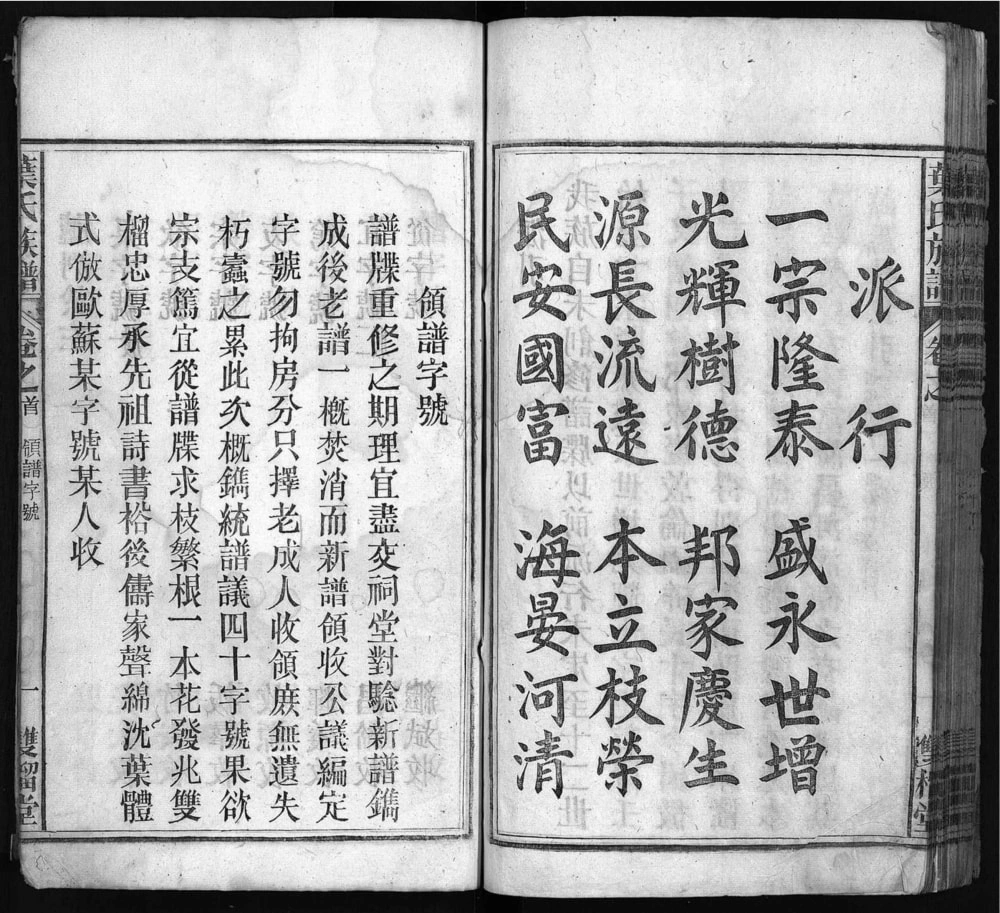 图片[4]-安徽安庆太湖县叶氏族谱（双榴堂）电子版PDF下载-中华家谱网