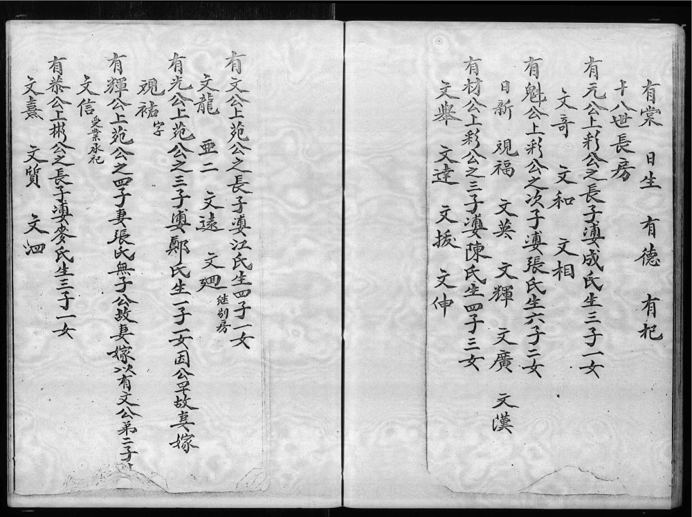 图片[6]-香港大埔坑吓蒲村林氏族谱电子版PDF下载-中华家谱网