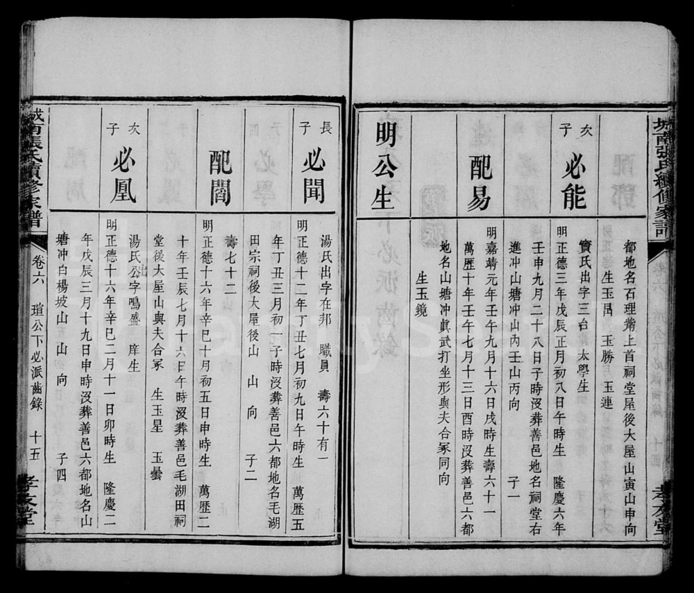 图片[8]-湖南长沙城南张氏续修家谱（孝友堂）电子版PDF下载-中华家谱网