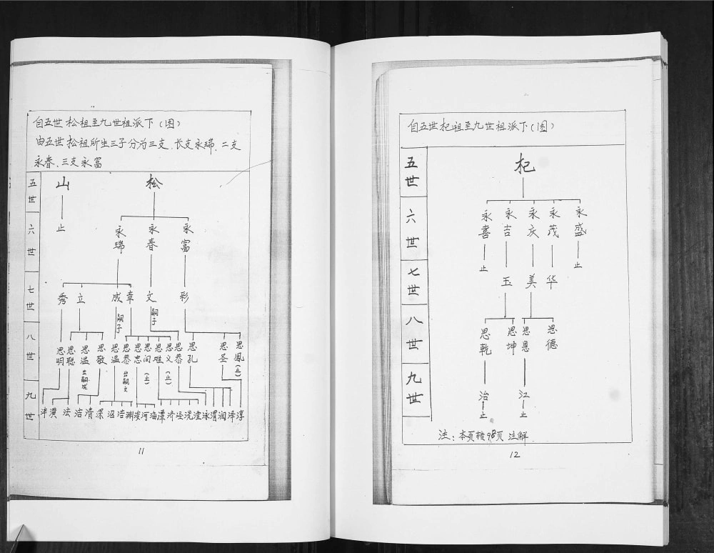 图片[6]-山东青岛即墨普东孙唐庄林氏族谱电子版PDF下载-中华家谱网