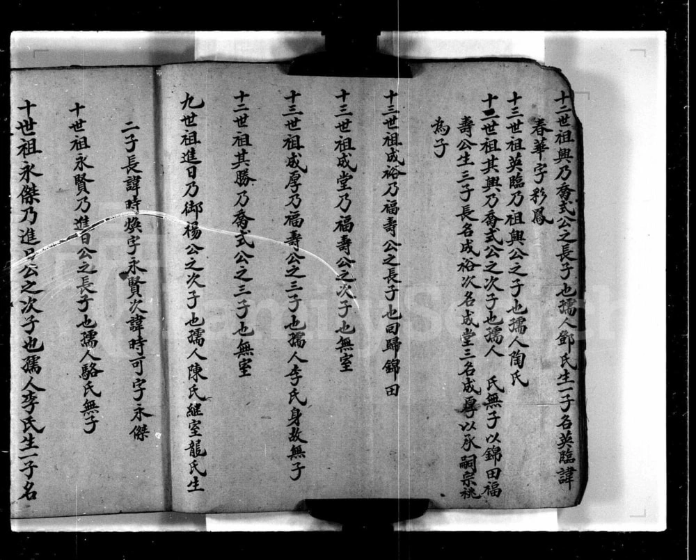 图片[7]-香港新界屏山石埔村林氏族谱电子版PDF下载-中华家谱网