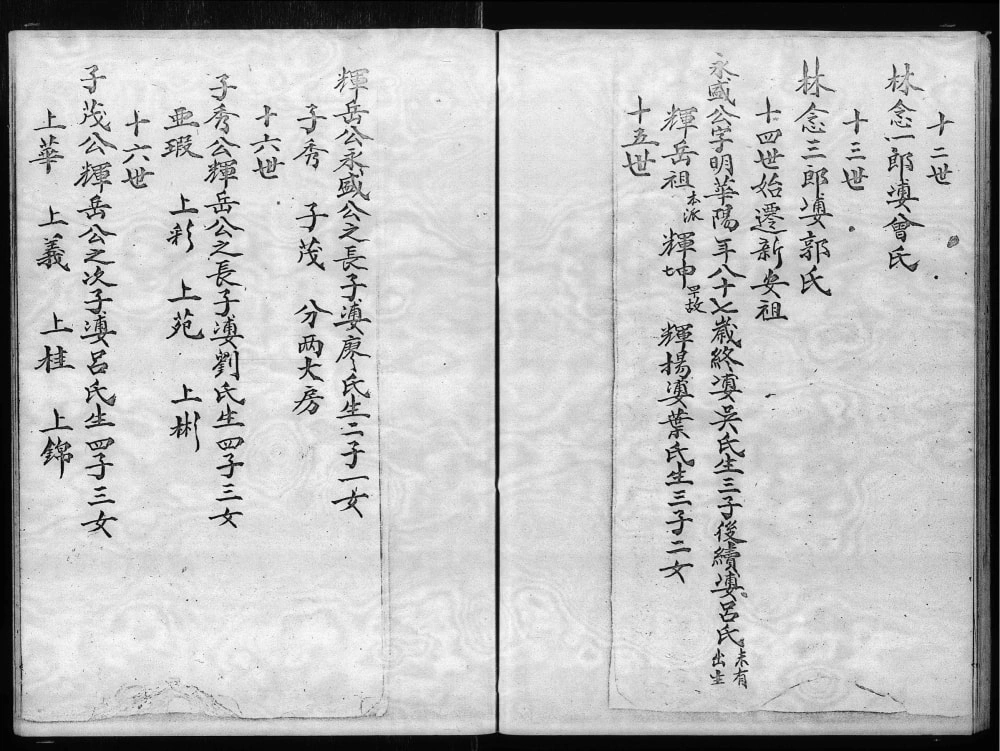 图片[4]-香港大埔坑吓蒲村林氏族谱电子版PDF下载-中华家谱网