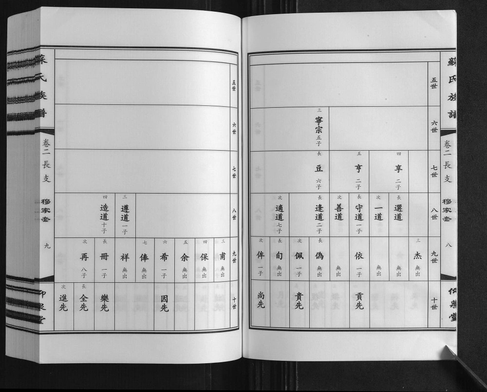 图片[8]-江苏连云港赣榆区苏氏族谱（仰泉堂）电子版PDF下载-中华家谱网