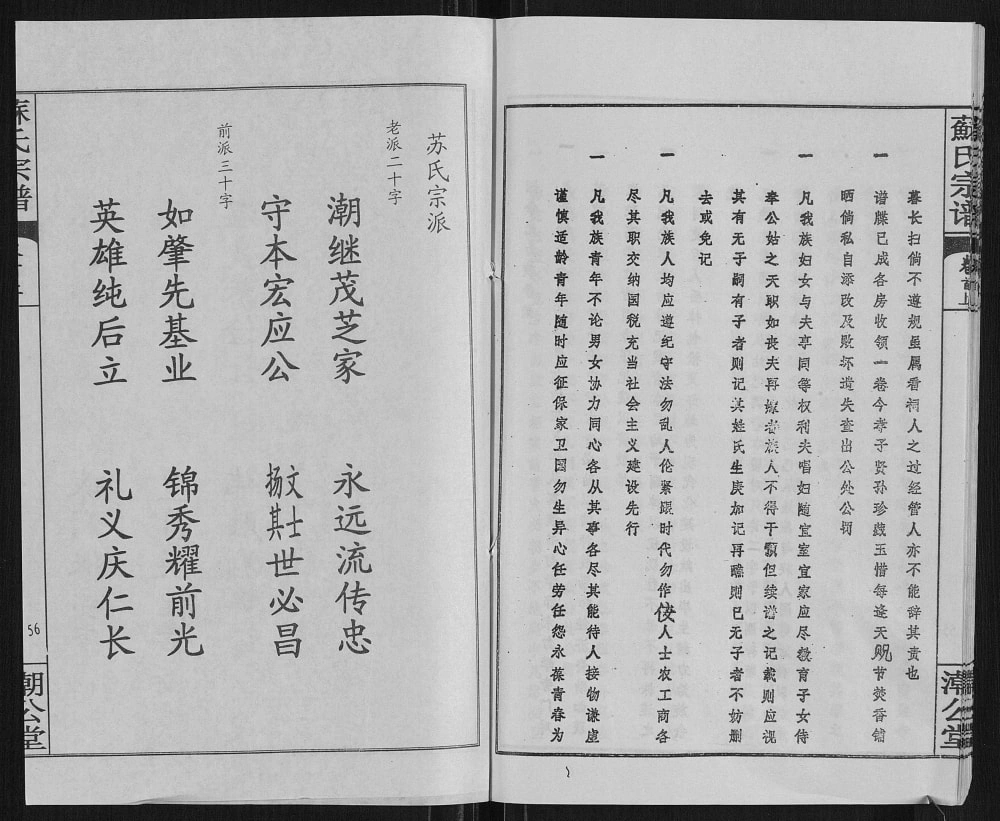 图片[4]-湖北黄冈苏氏宗谱（潮公堂）电子版PDF下载-中华家谱网