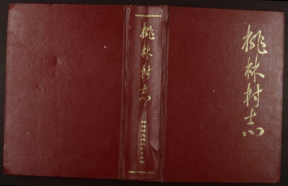 图片[1]-山东海阳桃林村志电子版PDF下载-中华家谱网