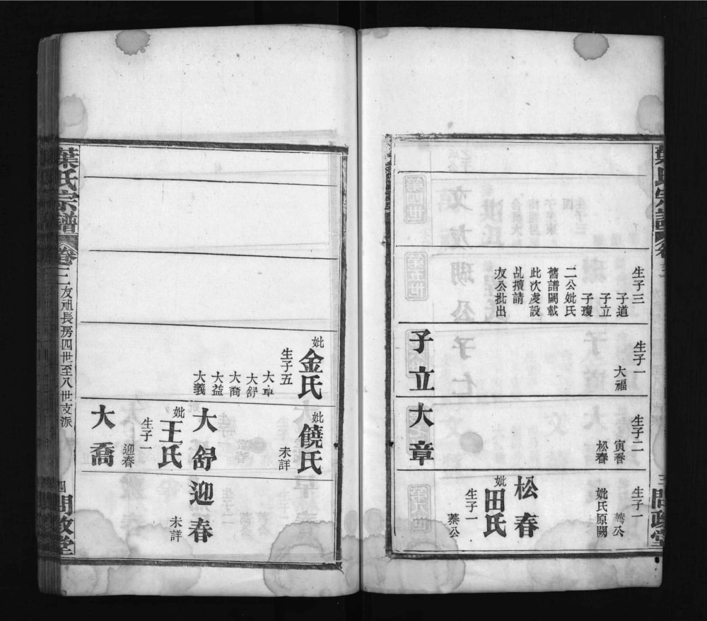 图片[8]-湖北麻城叶氏宗谱（问政堂）电子版PDF下载-中华家谱网