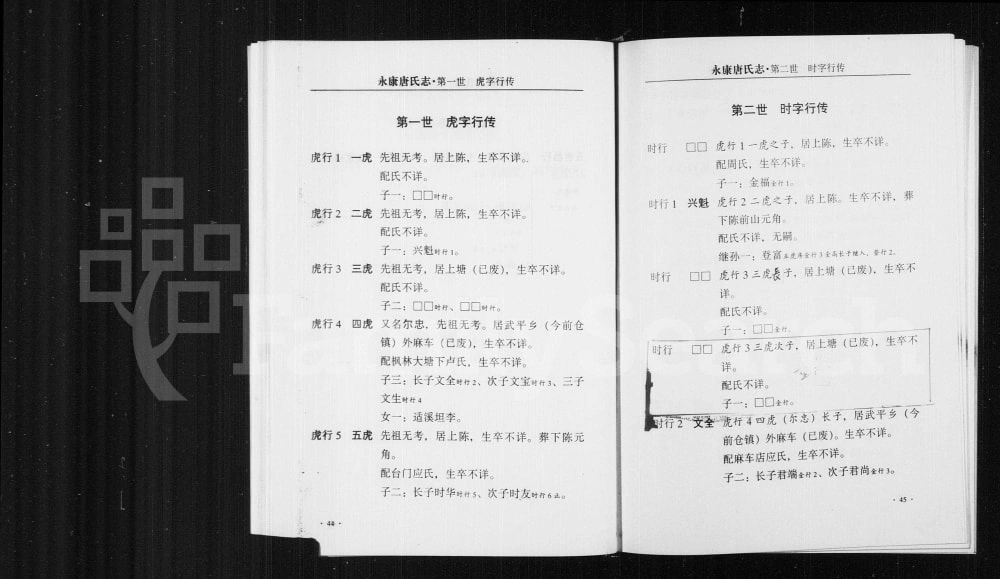 图片[4]-浙江永康唐氏志电子版PDF下载-中华家谱网