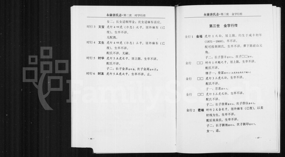 图片[5]-浙江永康唐氏志电子版PDF下载-中华家谱网
