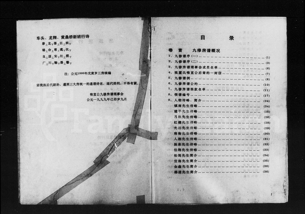 图片[3]-湖南衡阳衡东县董氏华公派下惟直公房九修支谱电子版PDF下载-中华家谱网