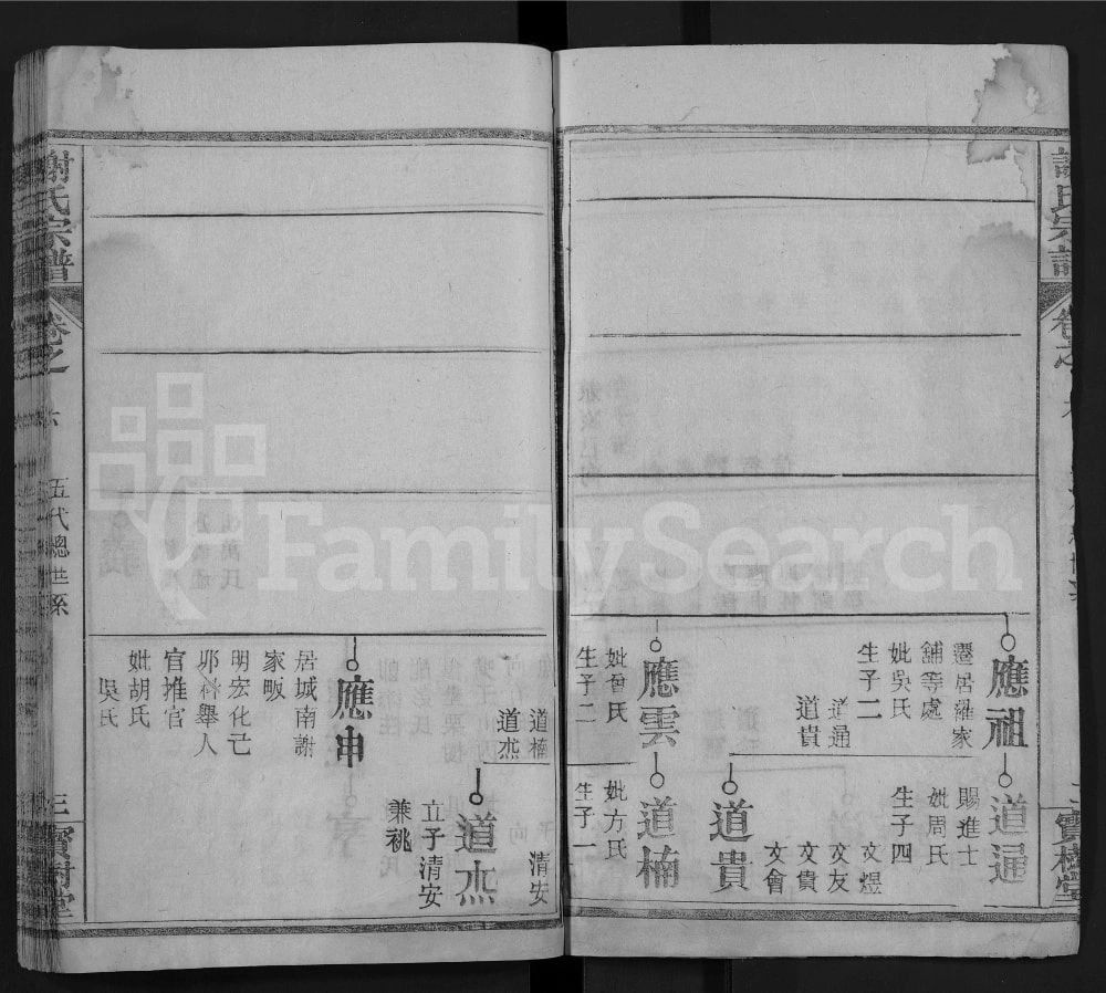 图片[6]-湖北麻城谢氏宗谱（宝树堂）电子版PDF下载-中华家谱网
