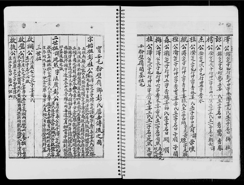 图片[4]-香港粉璧岭乡彭氏族谱电子版PDF下载-中华家谱网
