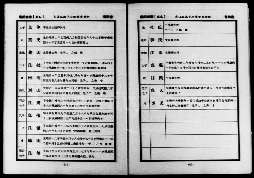图片[8]-湖南常德津临安澧唐氏族谱（晋阳堂）电子版PDF下载-中华家谱网