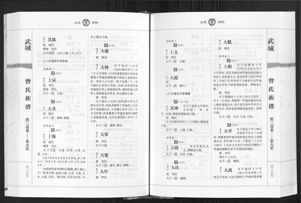 图片[7]-重庆大足区武城曾氏族谱电子版PDF下载-中华家谱网