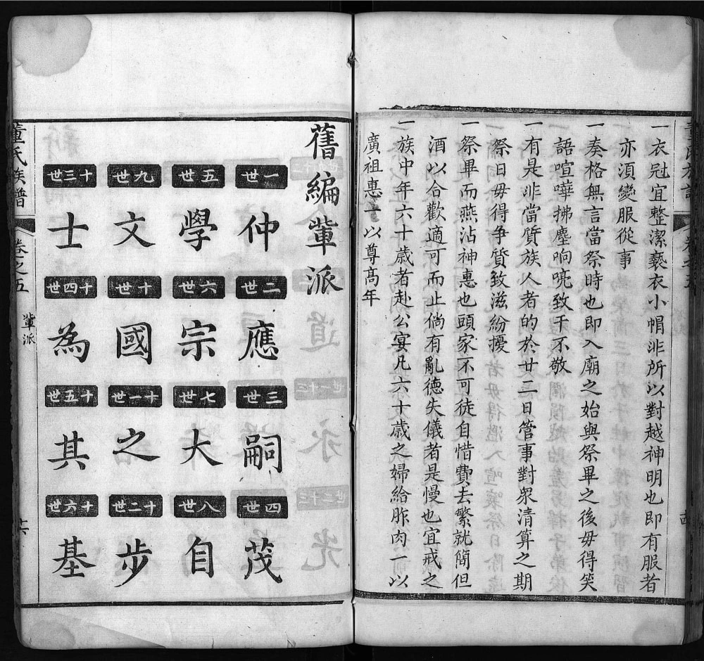 图片[3]-湖北黄冈红安县董氏族谱（道谊堂）电子版PDF下载-中华家谱网