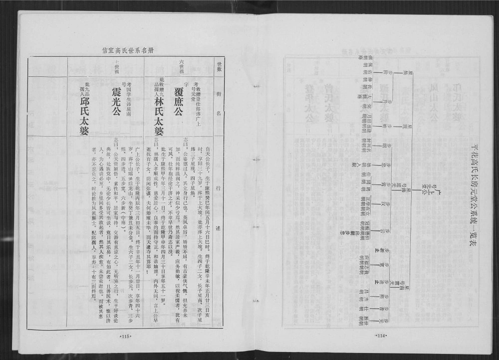 图片[5]-广东信宜高氏族谱电子版PDF下载-中华家谱网