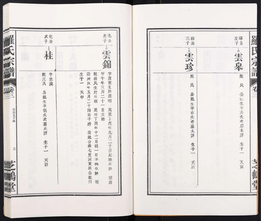 图片[7]-安徽合肥罗氏宗谱（芝鹤堂）电子版PDF下载-中华家谱网