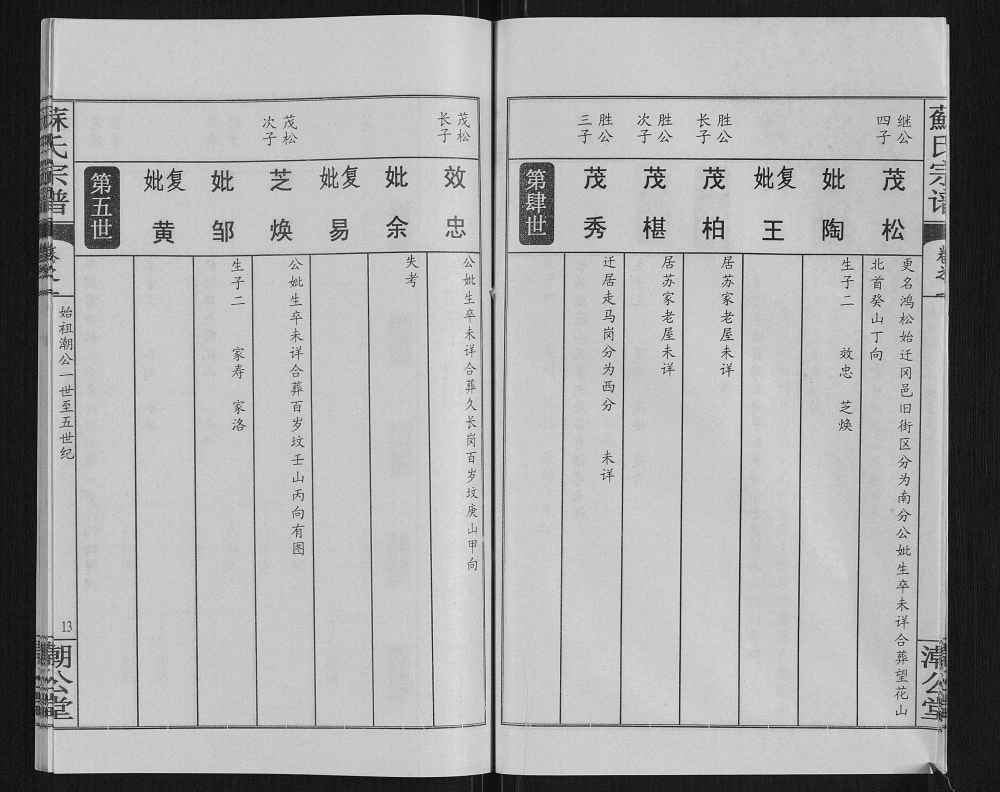 图片[8]-湖北黄冈苏氏宗谱（潮公堂）电子版PDF下载-中华家谱网